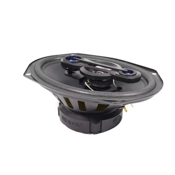 Boschmann 6x9" 500 Watt 4-Way Car Audio Speakers Pair (XJ3-996B)